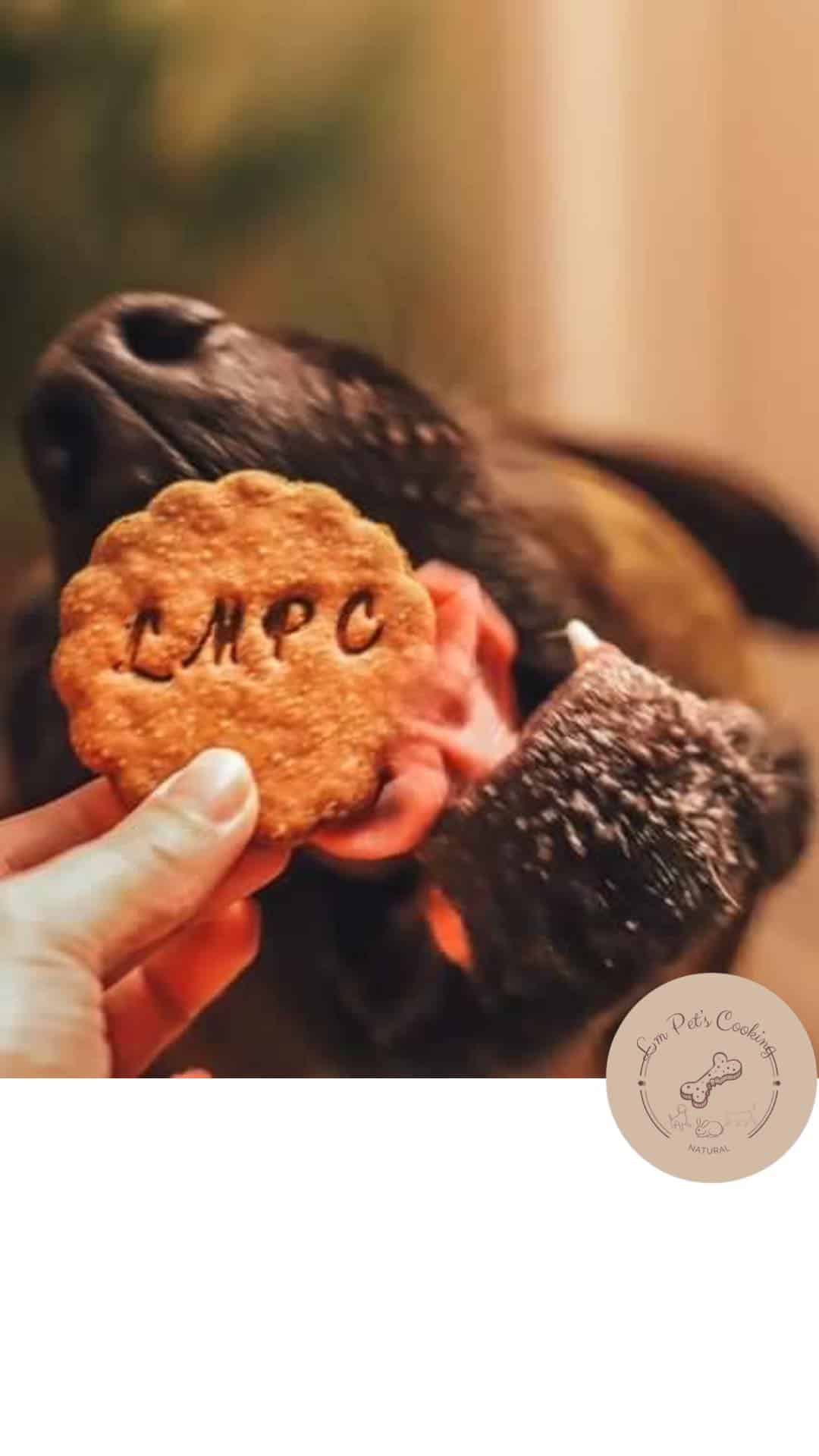 biscuit personnalisé - friandises chiens