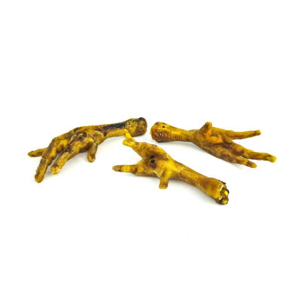 courge-levure-de-biere-friandise-chien courge-levure-de-biere-friandise-chien