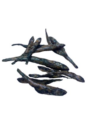 Joël spiruline - poisson déshydraté