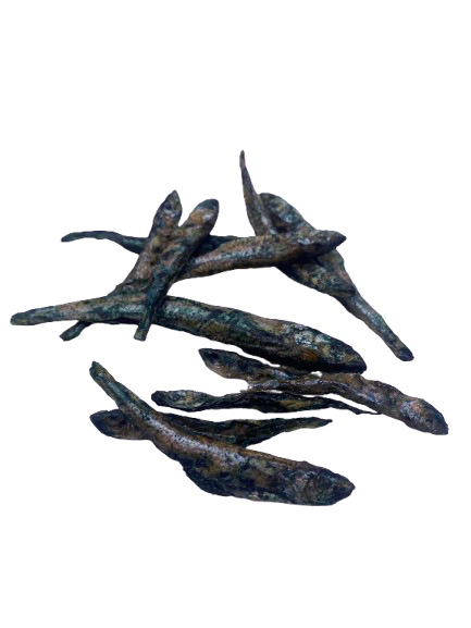 Joël spiruline - poisson déshydraté