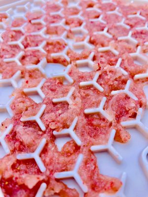 occupation-chiens-garnipoudre-fraise-volaille