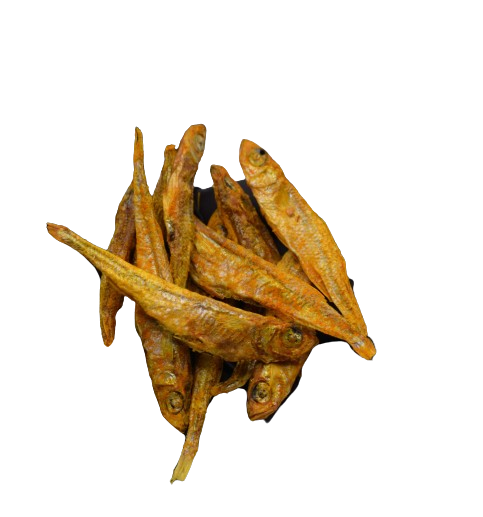 joel-curcuma-poisson-deshydrate