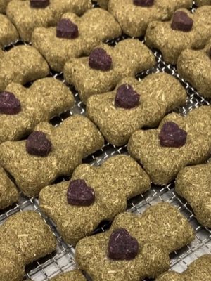Friandises pour lapins - Les oursons