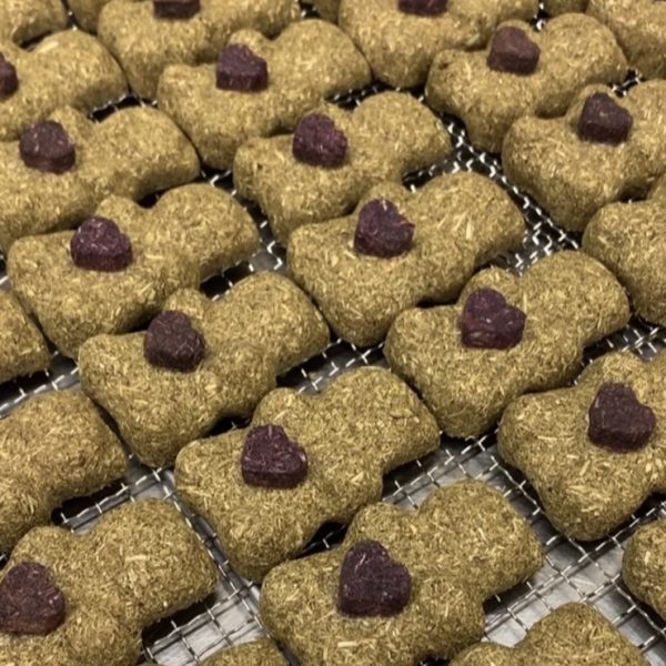 Friandises pour lapins - Les oursons