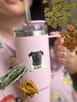 friandises-pour-chiens-stickers-pack