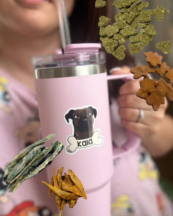 friandises-pour-chiens-stickers-pack