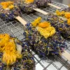 Friandises-pour-lapins-glace-florale