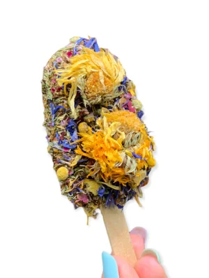 Friandises-pour-lapins-glace-florale