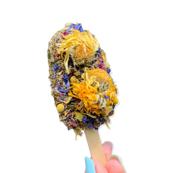 Friandises-pour-lapins-glace-florale