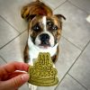 anniversaire-chiens-biscuits