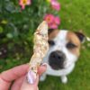 Anchois-doré-friandise-chien-chat